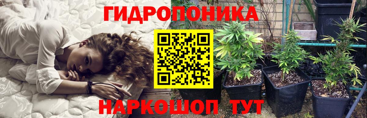 Конопля конопля  Бошки марихуана AK-47  Вход с VPN  Елизово  МАРИХУАНА MAZAR 